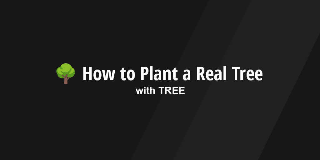 🌳 How to Plant a Real Tree with TREE