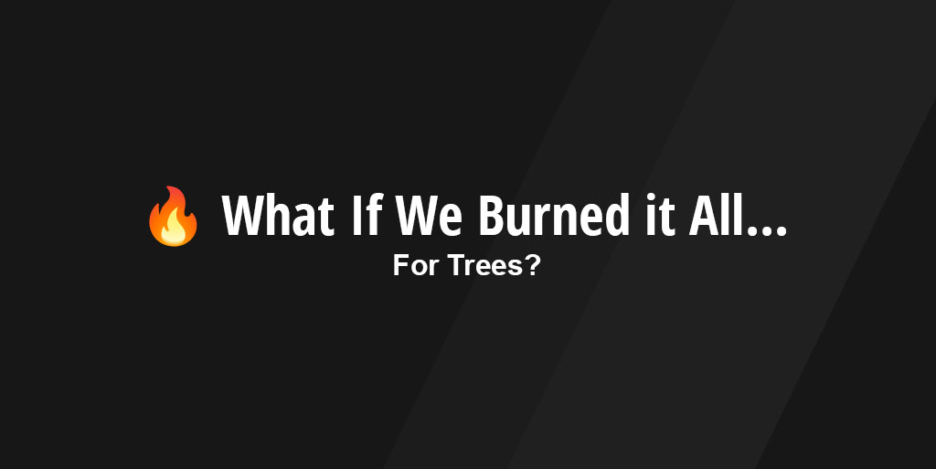 🔥 What If We Burned It All… For Trees?